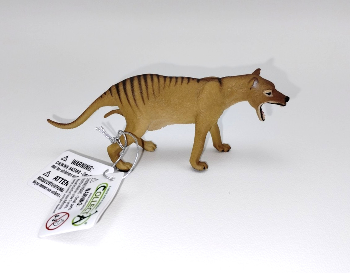 CollectA Thylacine Tasmanian Tiger Female w/ Joey Prehistoric Figure US Seller