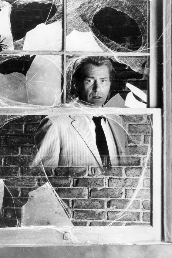 KOLCHAK: THE NIGHT STALKER DARREN MCGAVIN 24x36 inch Poster
