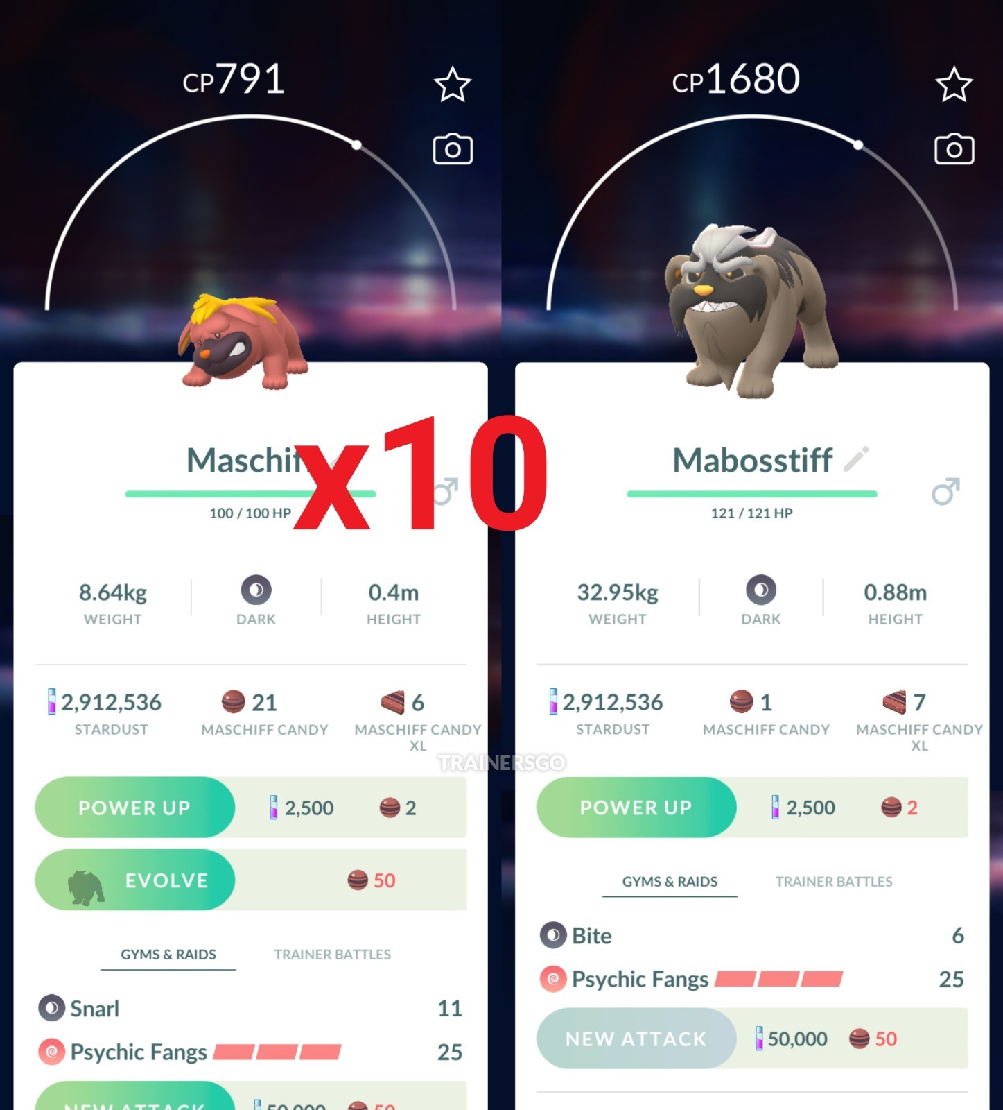 POKEMON GO | x10  Maschiff can evolve to Mabosstiff | NEW PTC | Fast & Safe