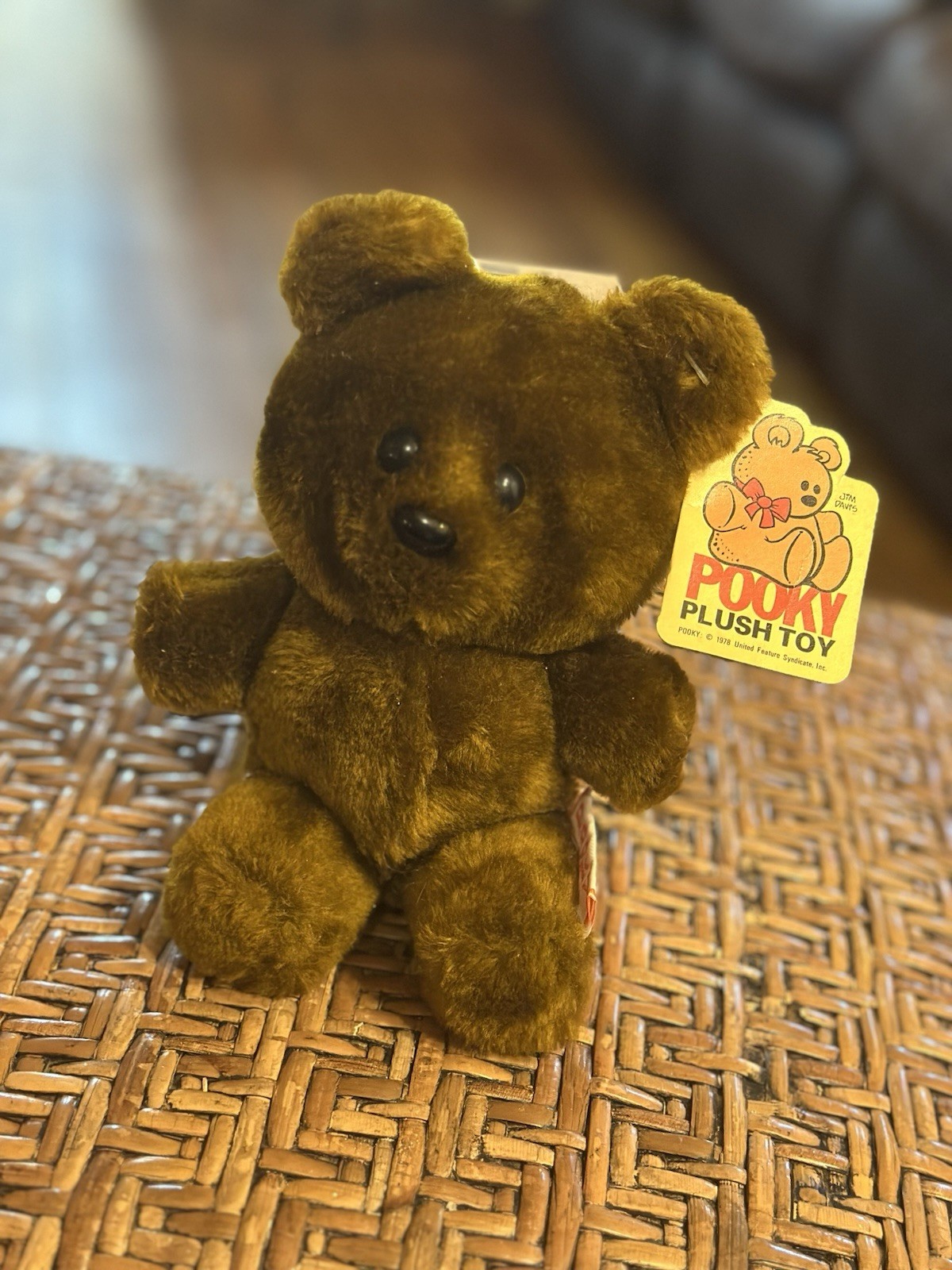 Vintage 1983 Dakin Pooky 8” Plush Toy - Tags Still On