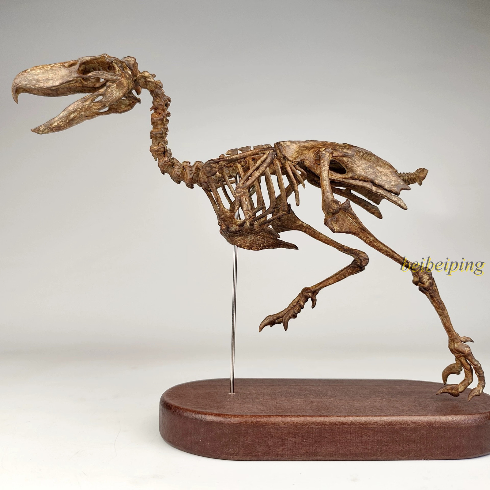 1/10 Kelenken Terror Bird Skeleton Fossil Statue 3D Print Collect Display Model