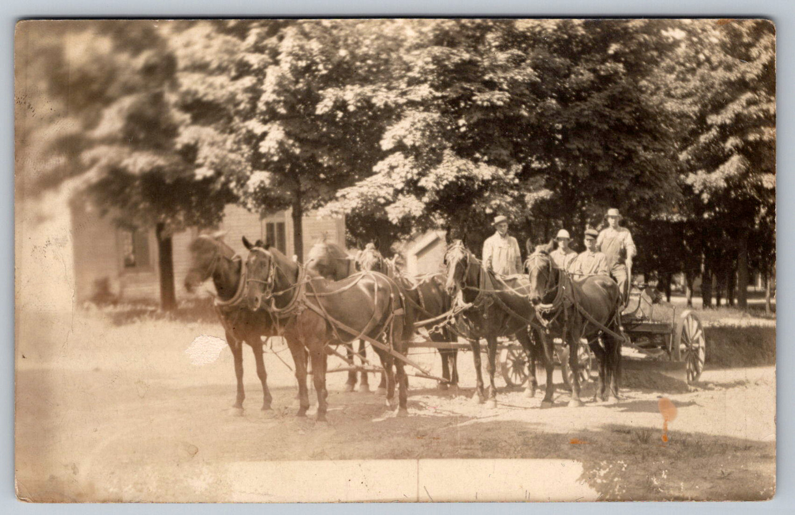 RPPC c1910s Road Grader Horse Drawn Scraper 6 Horse Team Construction Postcard