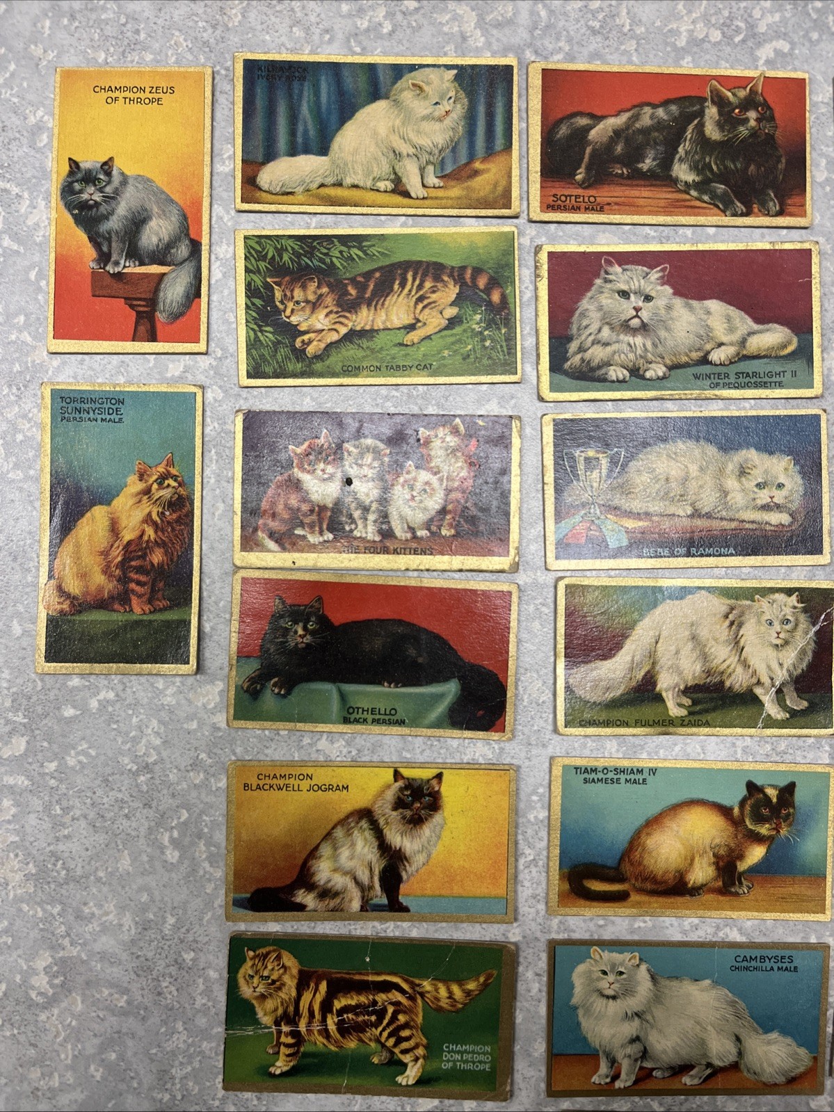 Cowans Noted Cats 1925 Lot Of 24 Complete