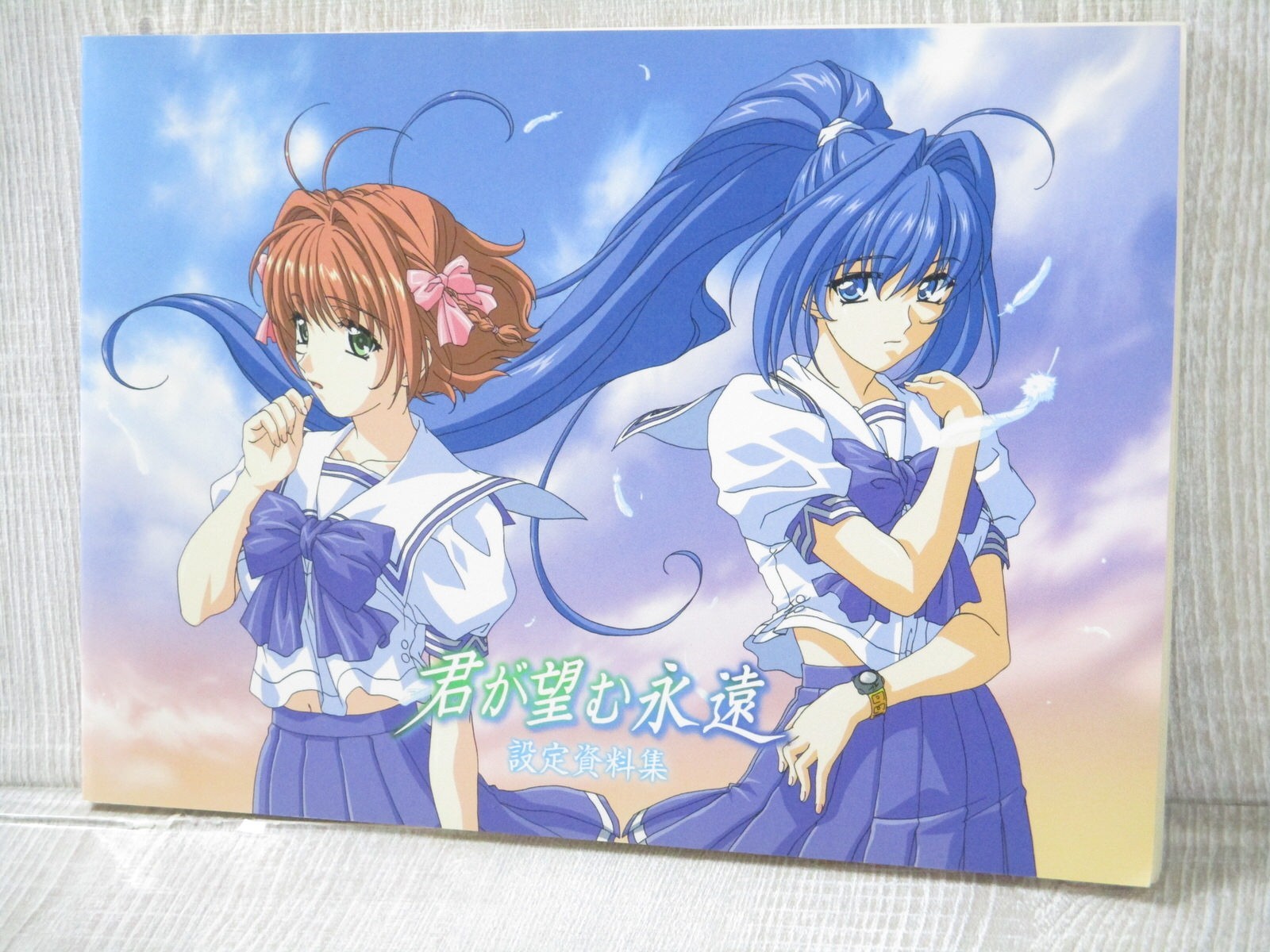KIMI GA NOZOMU EIEN Art Works Model Sheet Fan Book PS2 Japan