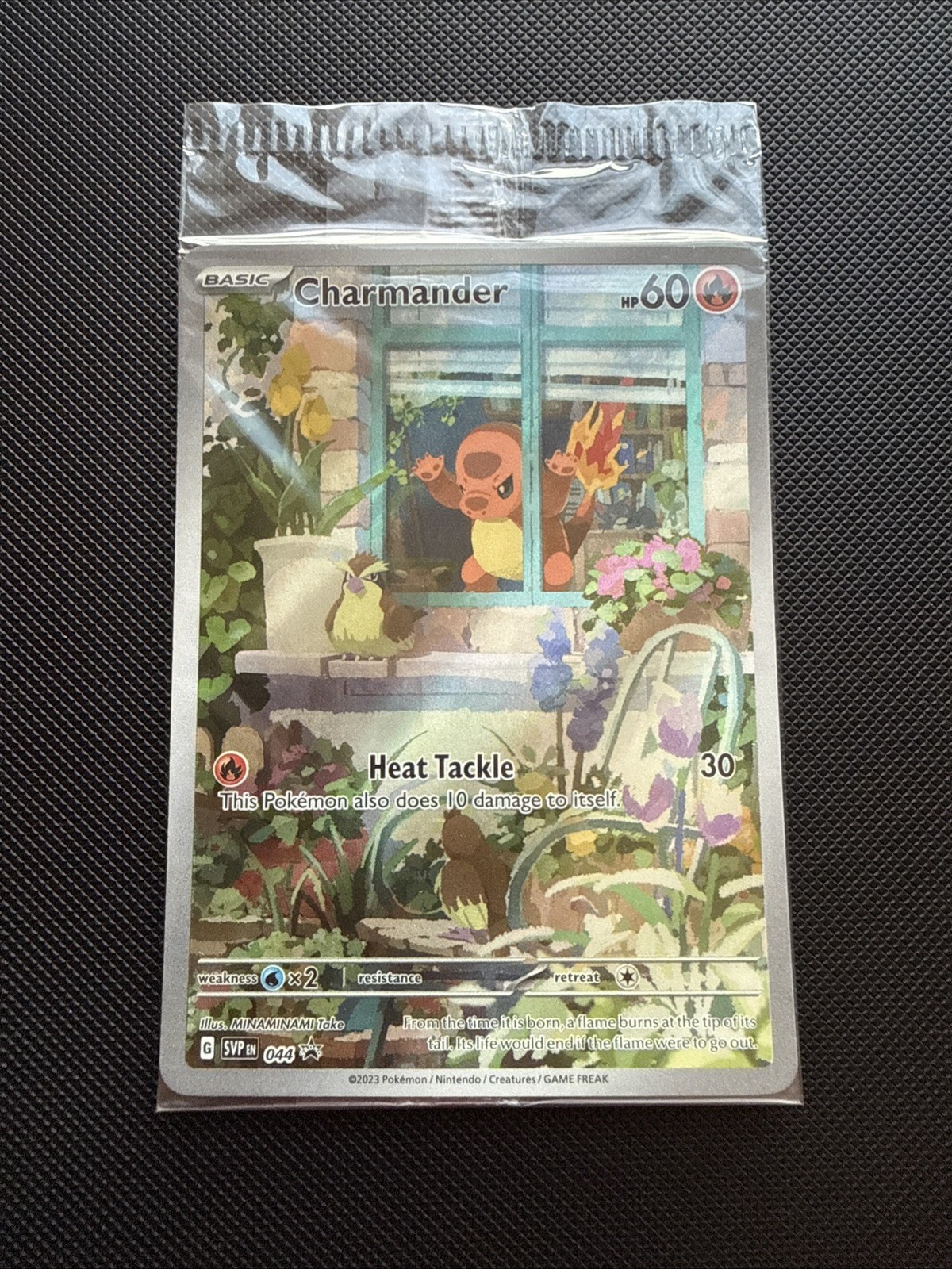 Pokemon Charmander SVP 044 Illustration Rare Obsidian Flames Sealed Promo Card