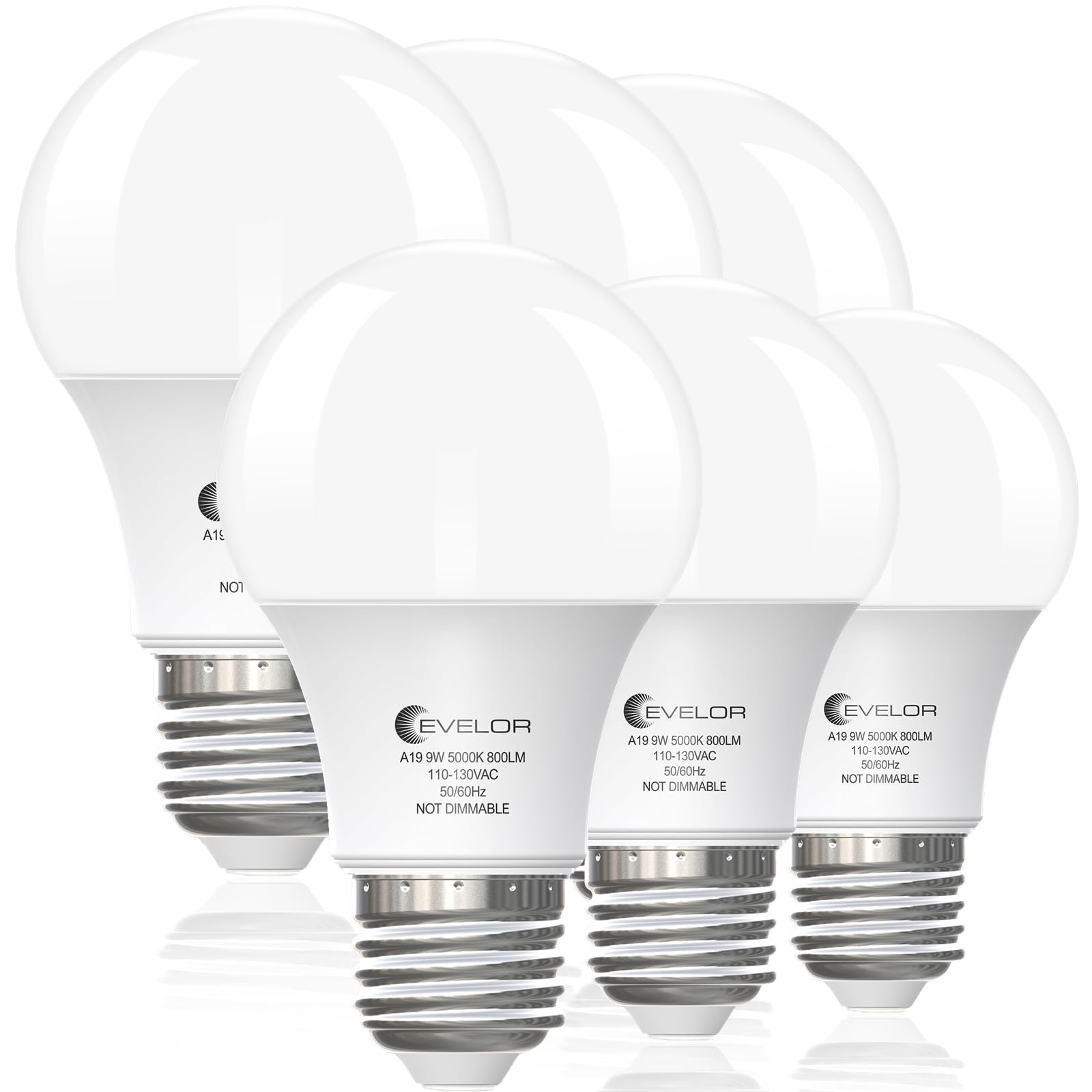 evelor 6-Pack A19 LED Light Bulbs,60 Watt Equivalent 6 Pack, Daylight 5000k