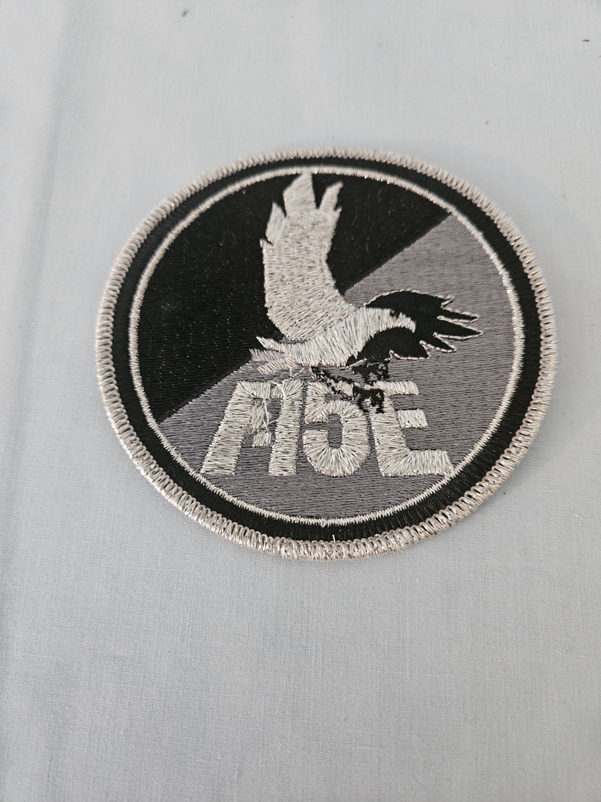 New F-15E Silver And Black 4