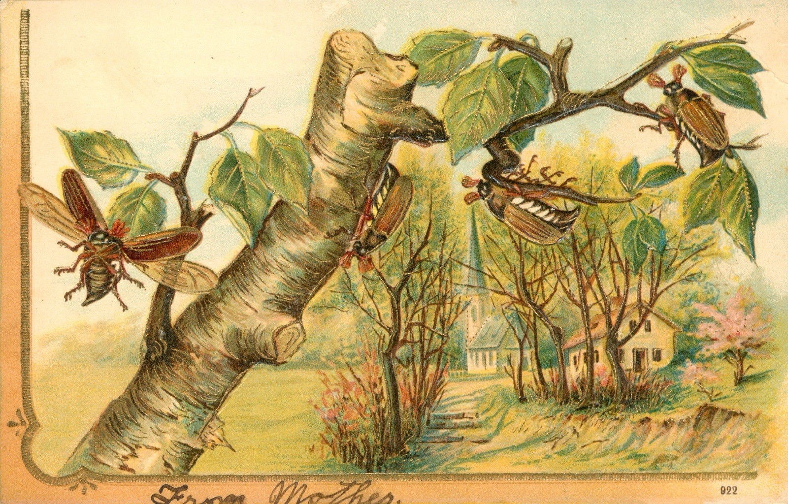 Bugs Crawling Flying on Tree Embossed Postcard Antique 1907 Pretty Village N