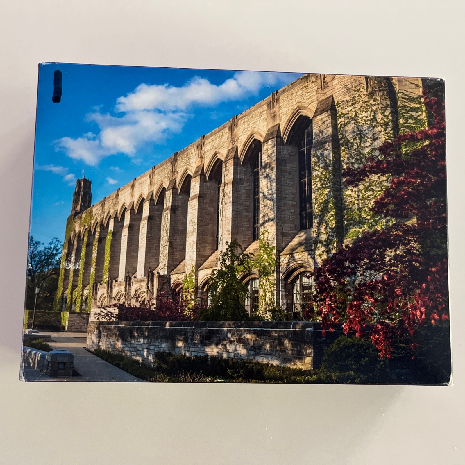 Northwestern University Wildcats DEERING LIBRARY 432 PIECE 18\