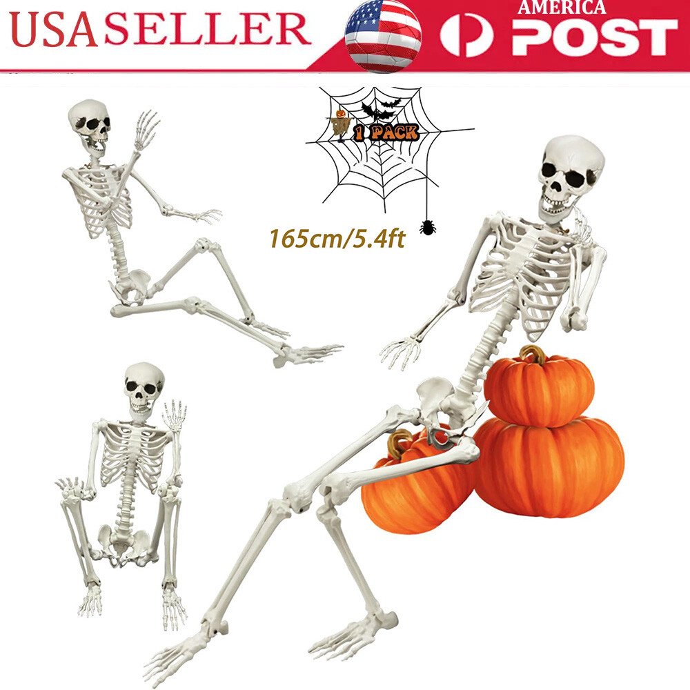 5.4ft Halloween Decoration Realistic Body Bones Posable Joints Plastic Skeleton