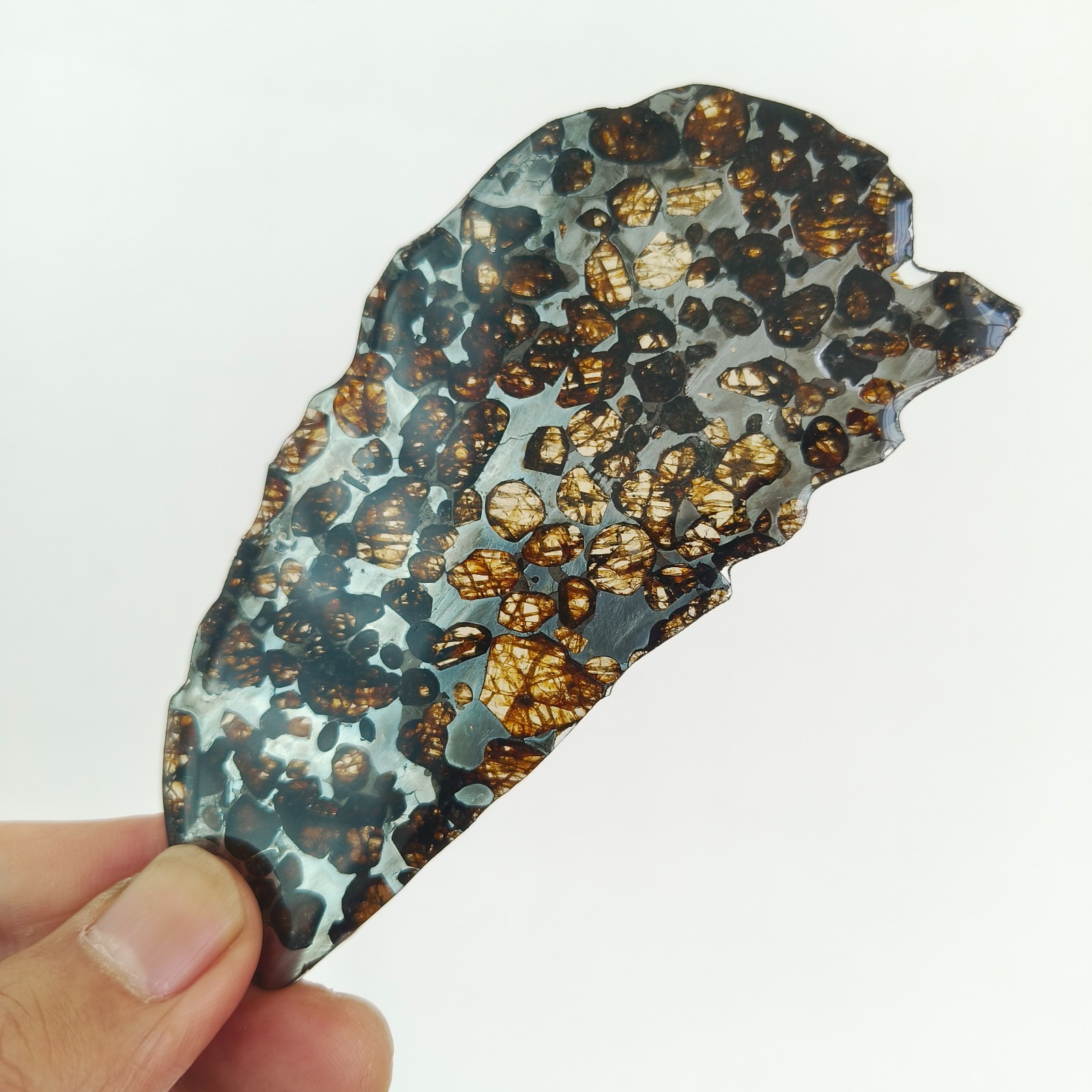 Top Natural Sericho Pallasite Meteorite Perfect Cut Slabs Transparent Glaze Seal