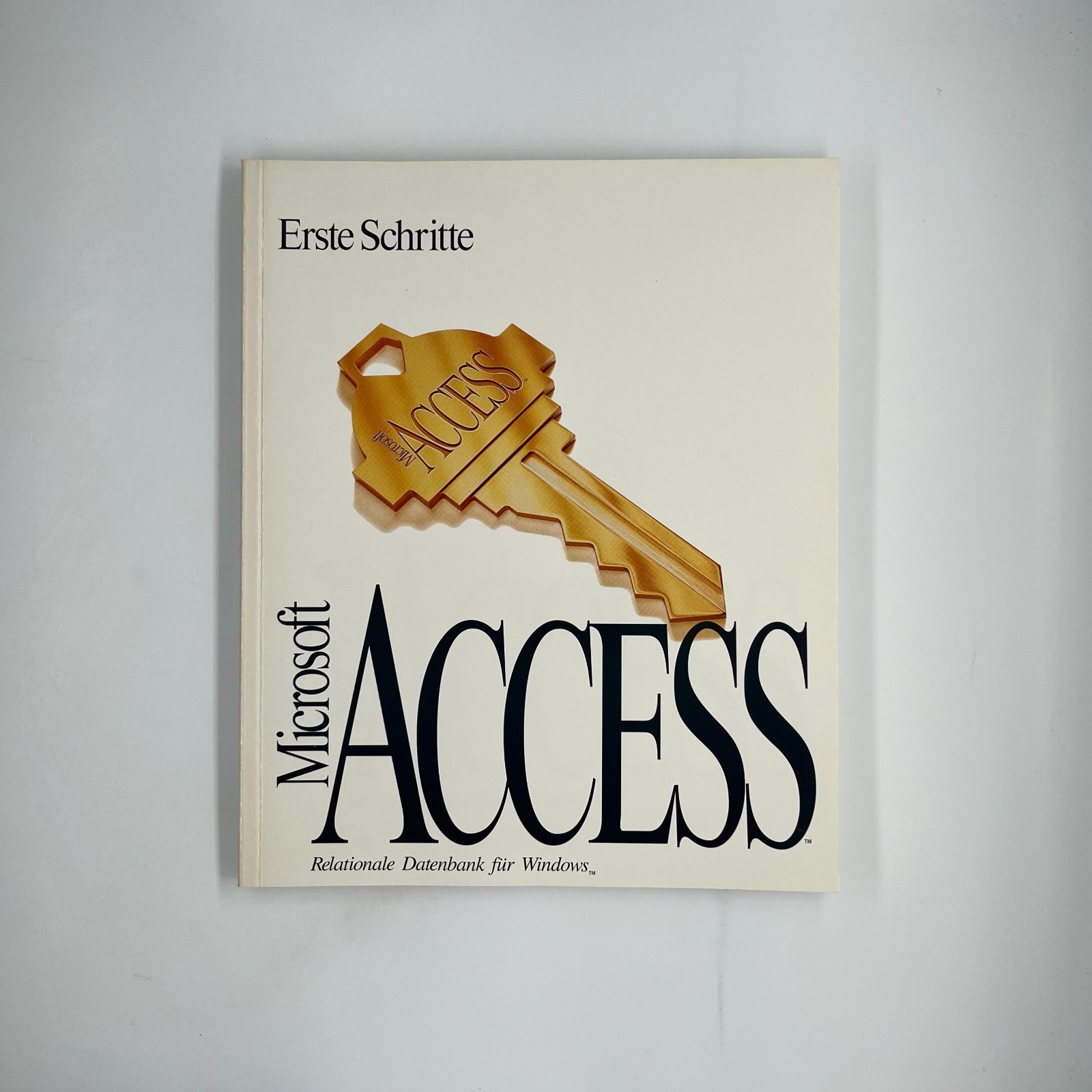 Microsoft Access / Getting Started