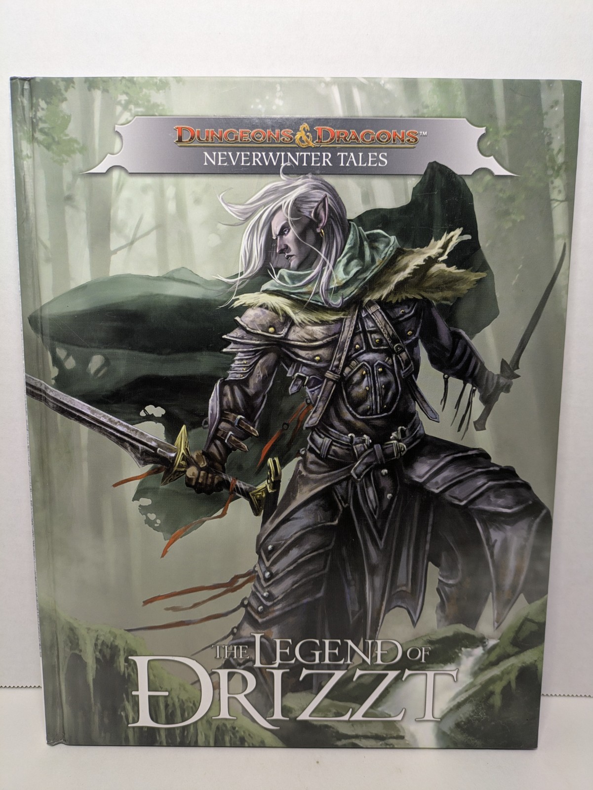 Dungeons & Dragons The Legend of Drizzt Neverwinter Tales Graphic Novel IDW