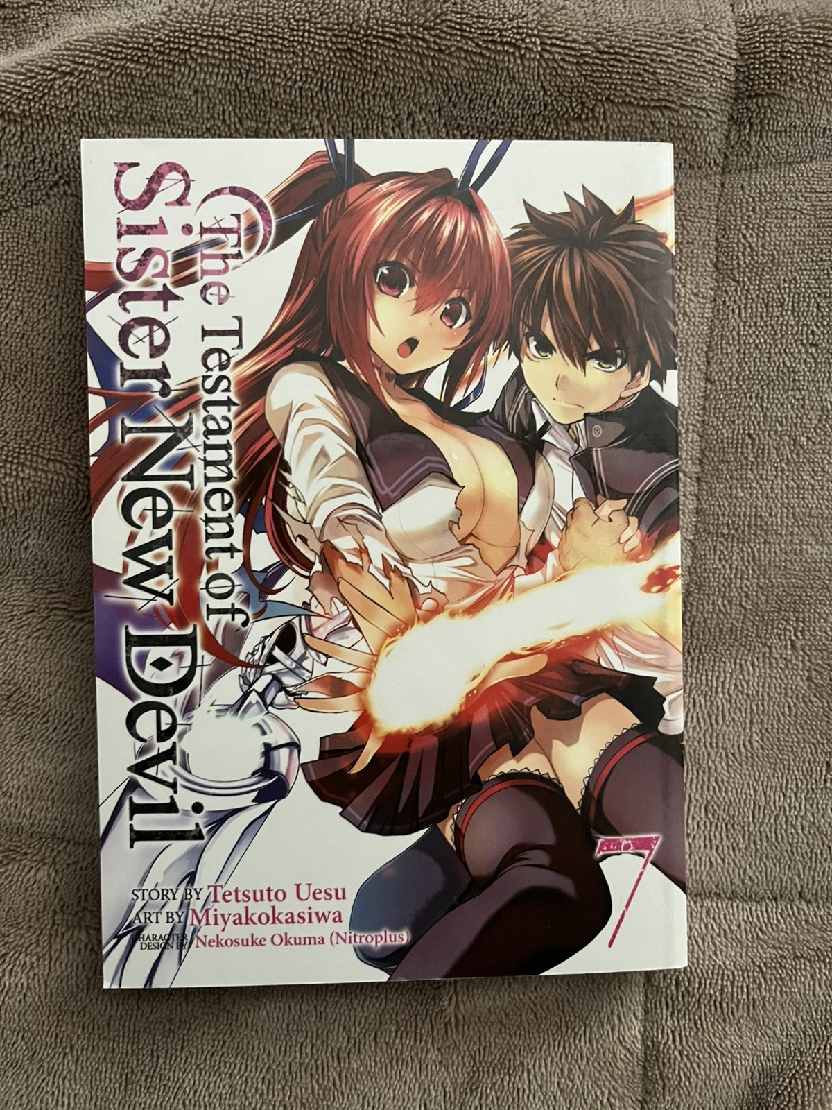 The Testament of Sister New Devil Volume 7 Manga English
