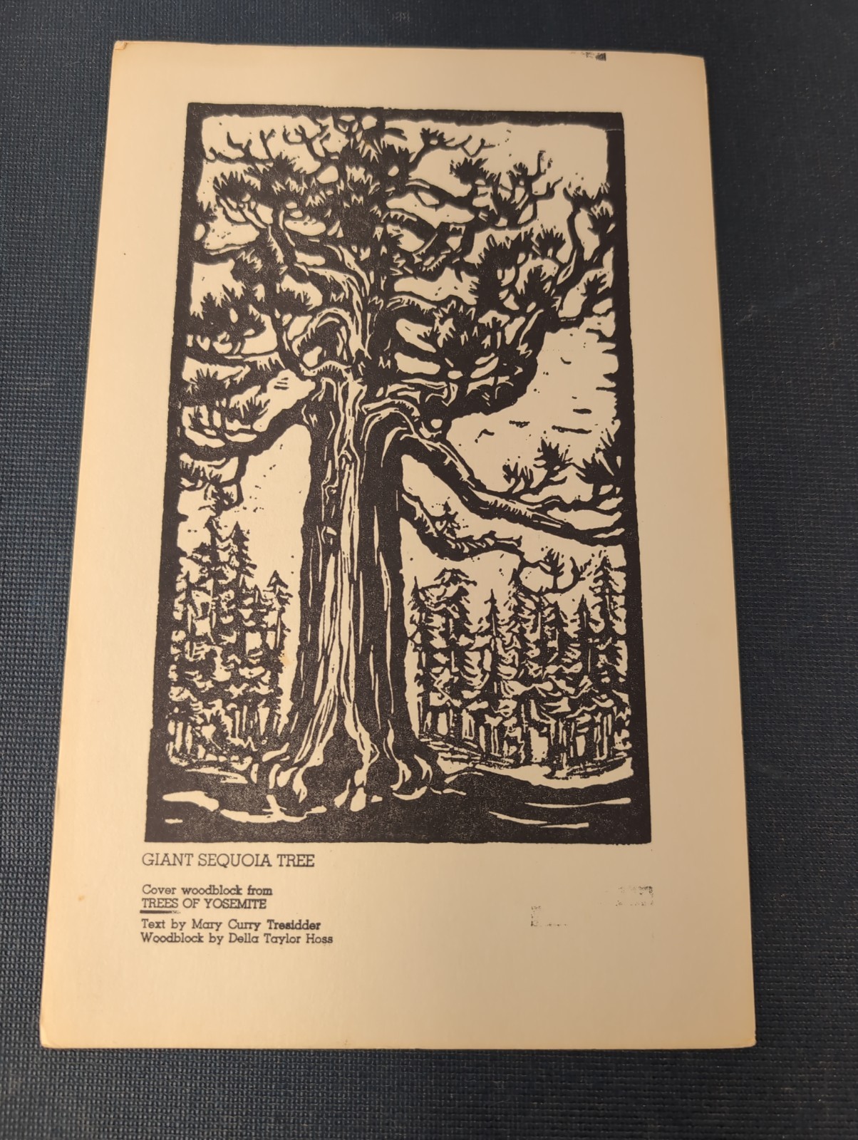 1 Luncheon Mary Tresidder Della Hoss Yosemite Ahwahnee Hotel Menu Giant Sequoia
