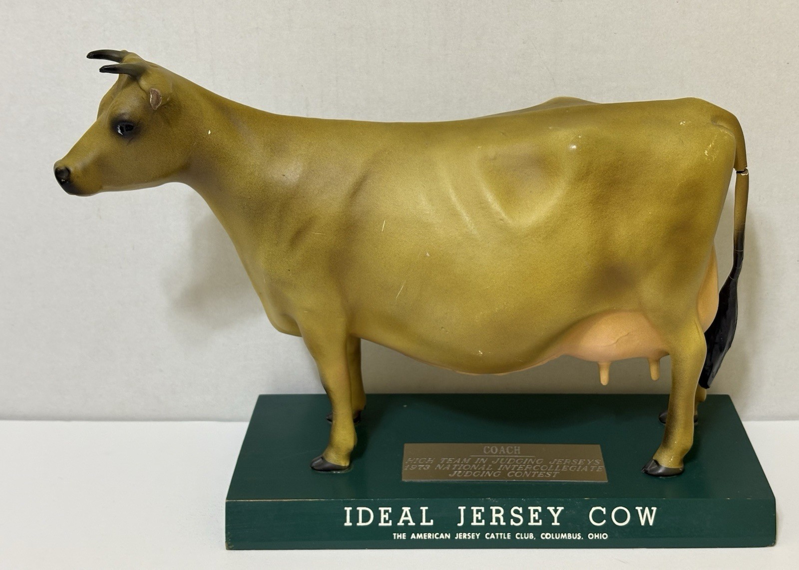 RARE Ideal Jersey Cow STORE COUNTER DISPLAY American Cattle Club DAIRY Figure