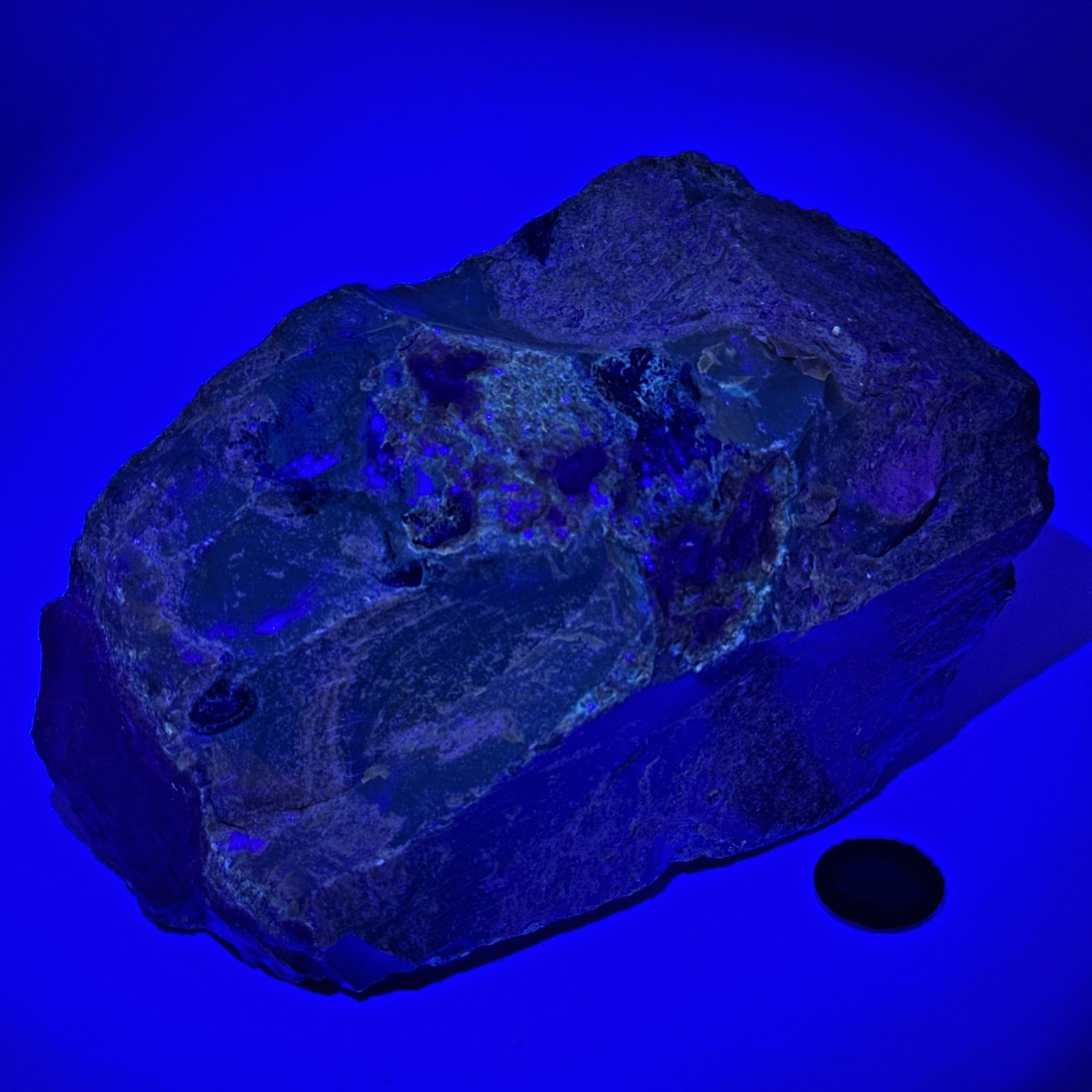 AMAZING Fluorescent Indonesian Amber Specimen 512 Grams