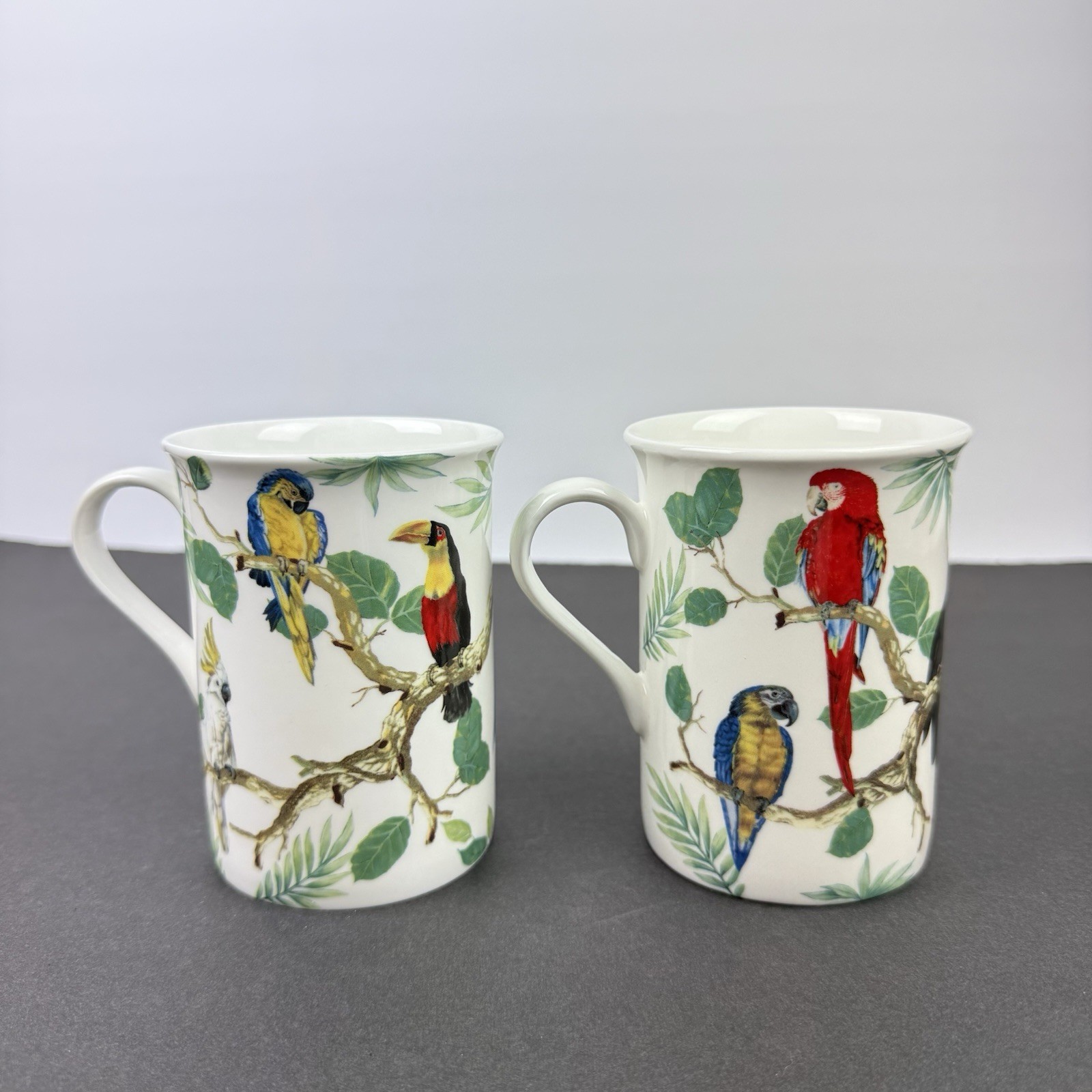 Stechcol Gracie Bone China Mugs Birds Of The World Set of 2 Brand New