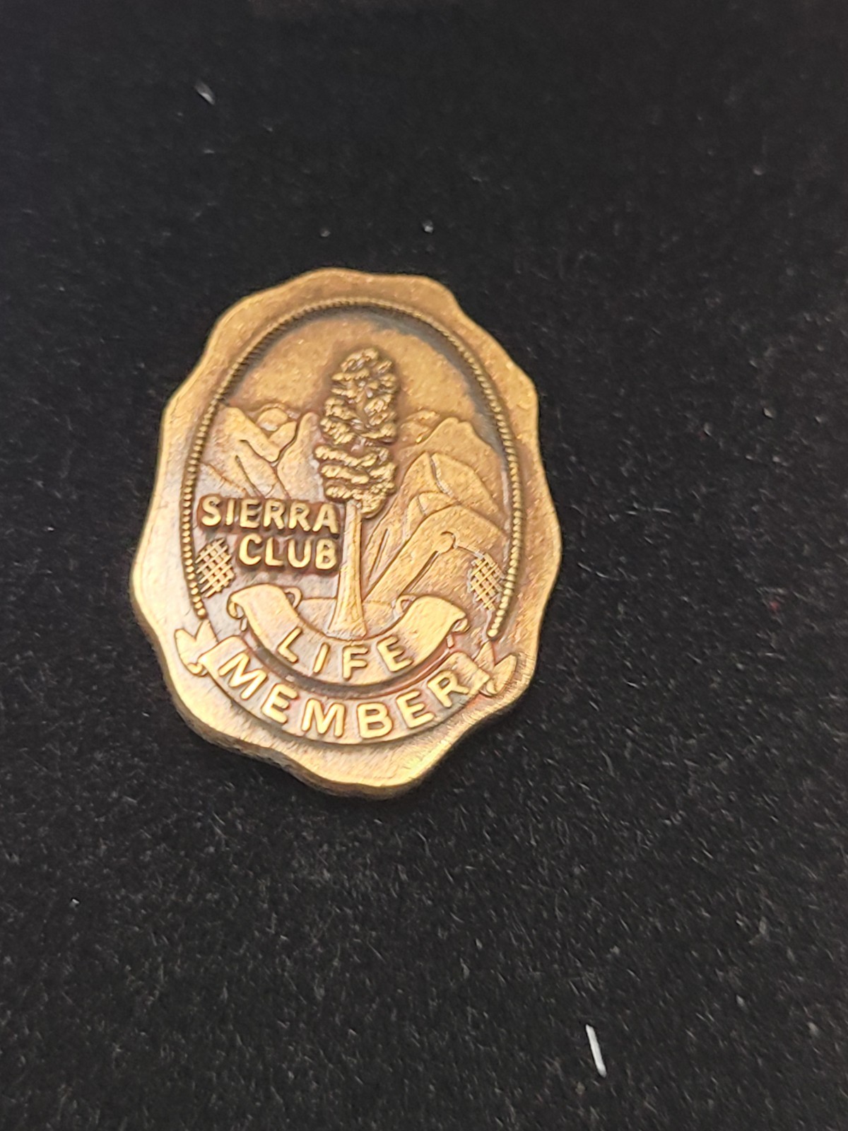 Vtg Sierra Club Life Member Gold Tone Lapel Pin