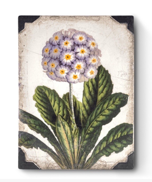 Sid Dickens First Bloom T460 Memory Block Tile Retired NEW