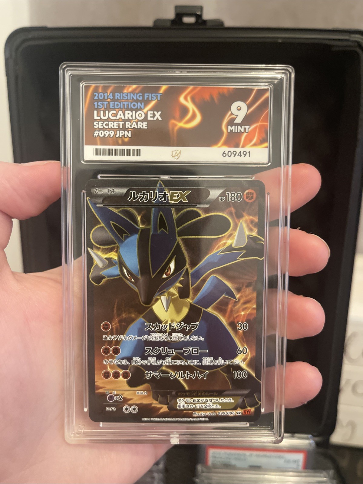 Pokémon TCG Lucario Ex 099/096 Ace 9