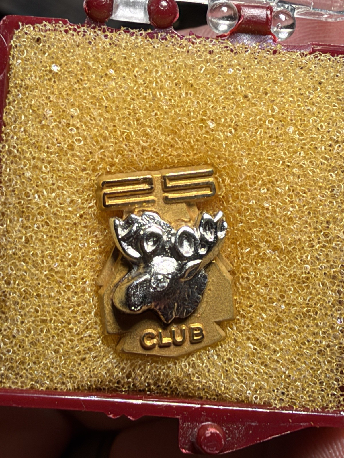 Vintage Moose Lodge 25 Club Lapel Pin 10k Yellow Gold And Stone
