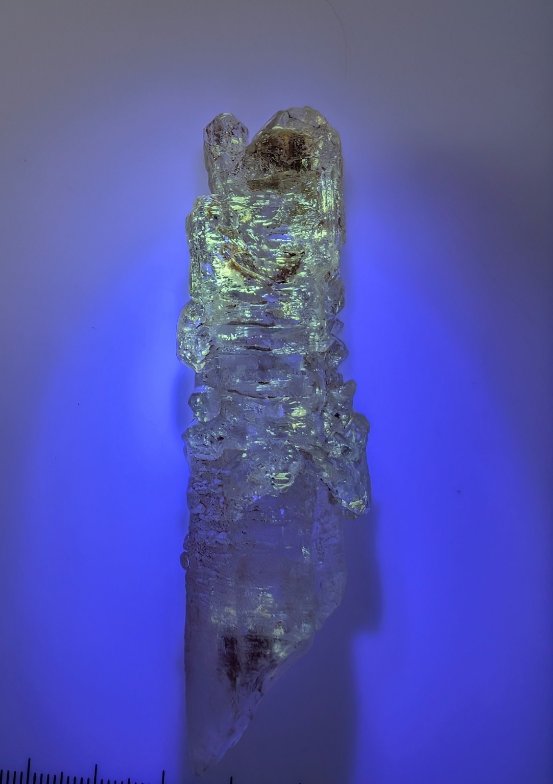 Firefly Quartz Madagascar Crystal Petroleum Quartz UV Reactive Elestial Sceptre