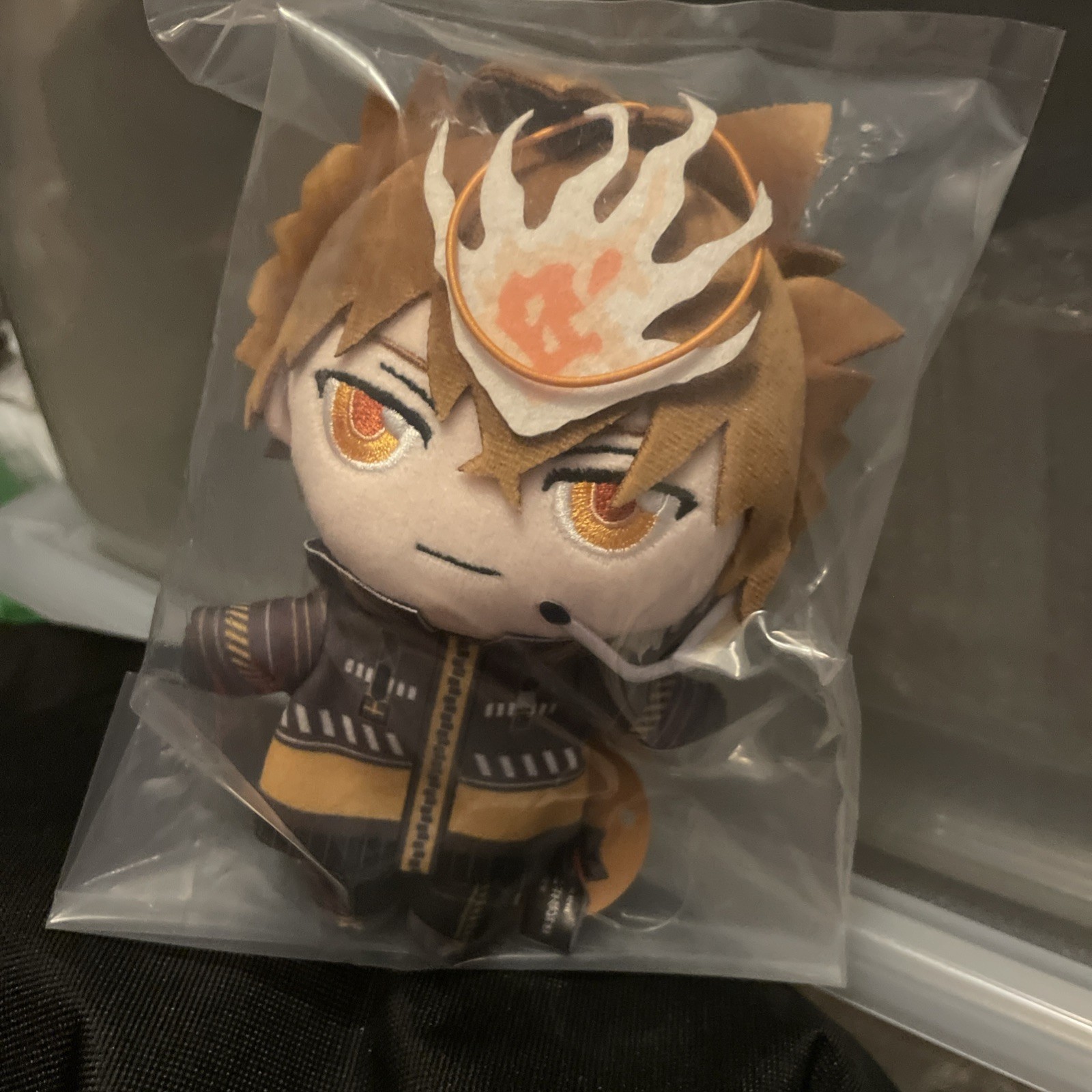Katekyo Hitman REBORN Tsunayoshi Sawada Plush Toy From Japan