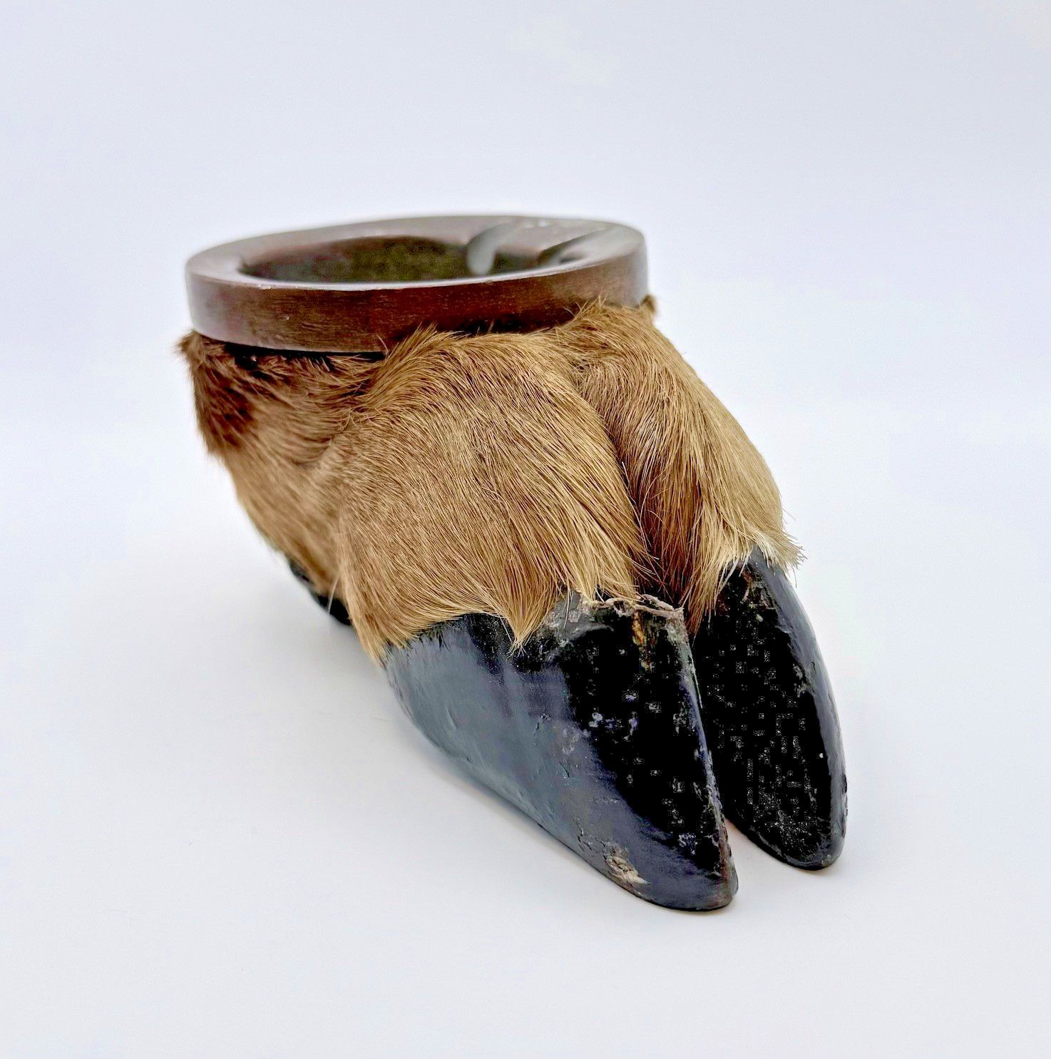 Taxidermy Deer Hoof Ashtray Rustic Hunting Lodge Cabin Decor 1950s Vintage