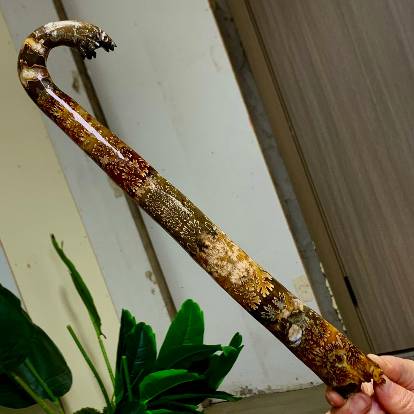 373g Natural crystal elephant trunkTentacle Ammonite Specimen Repaired Healing