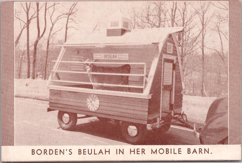 Vintage 1950s BORDEN\'S Advertising Postcard \
