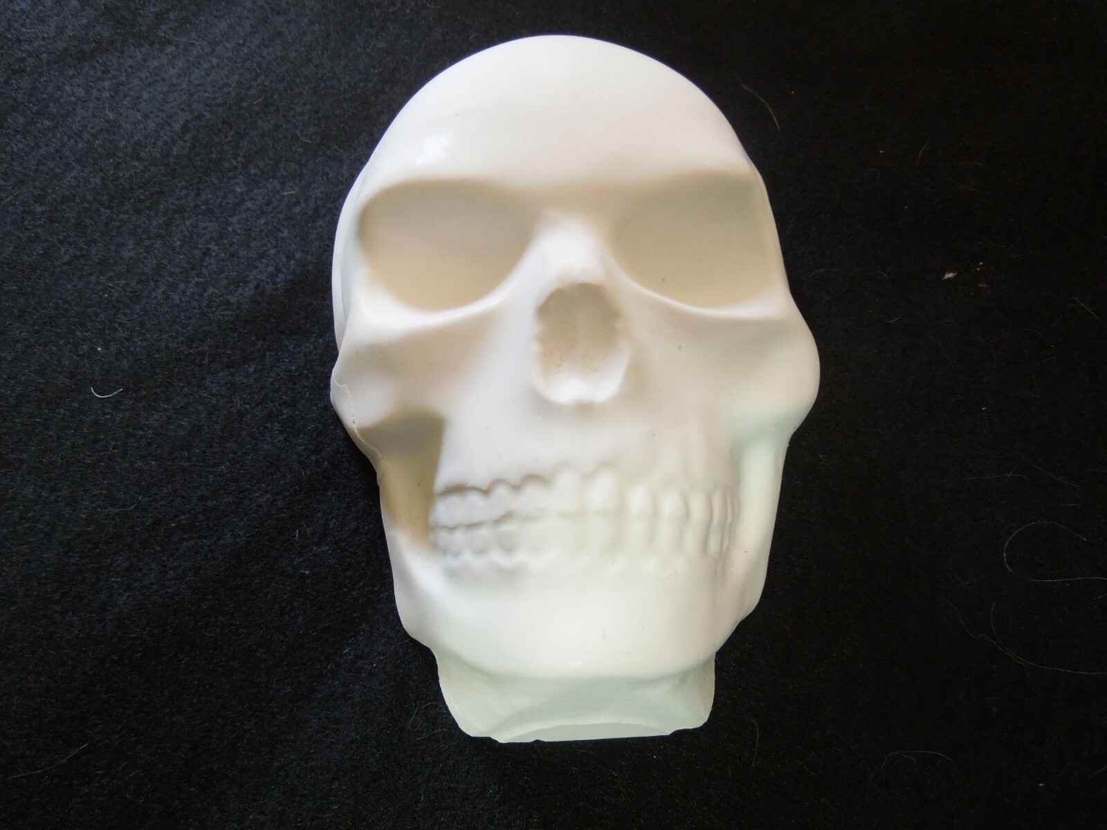 Realistic Human Skull Wall Hanging Hand Made Plaster of Paris 7\