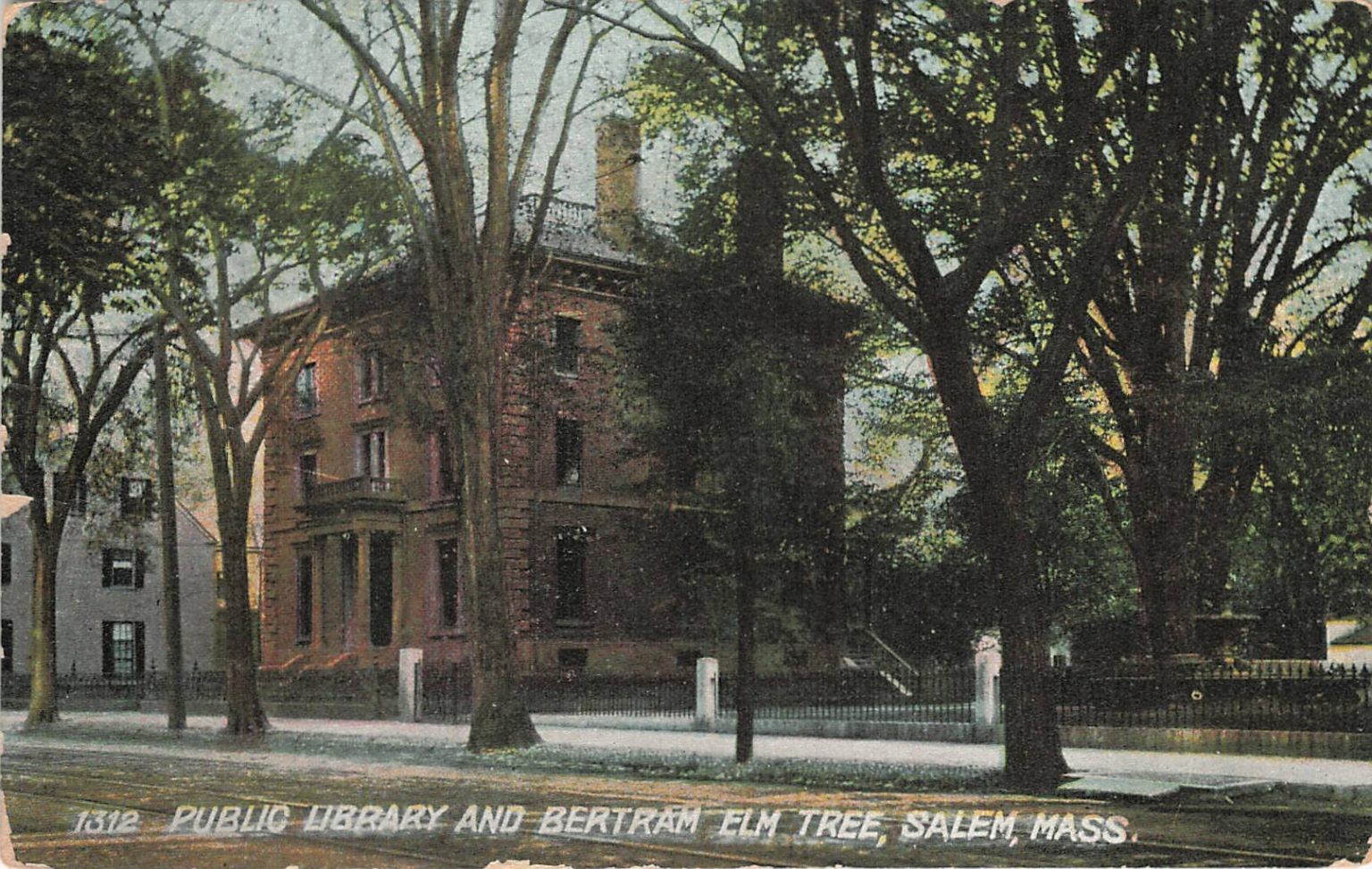 Salem, MA Public Library Bertram Elm Tree 1909 Postcard Printed Germany