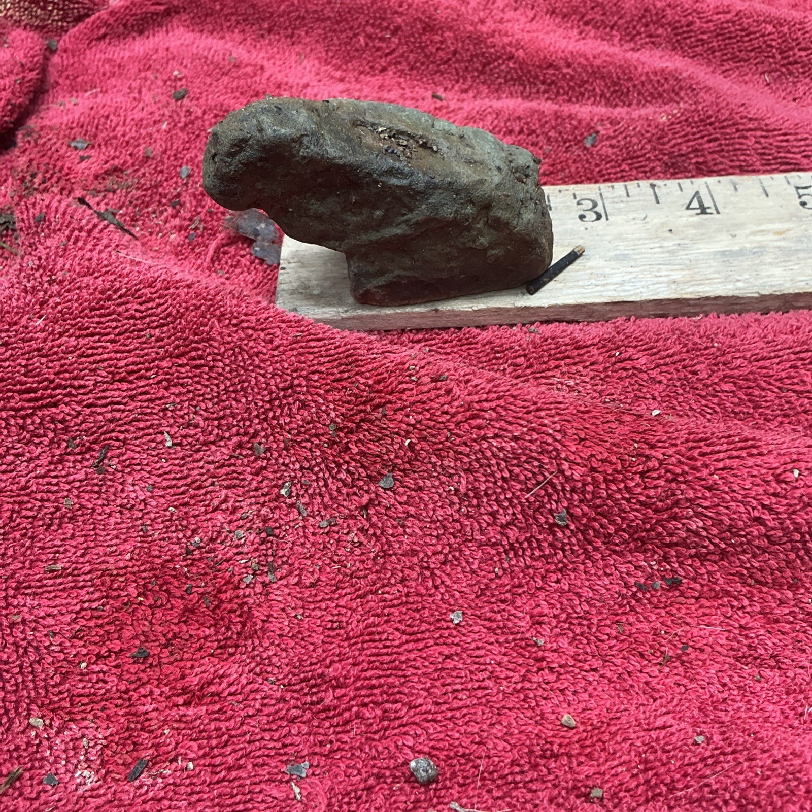 Paleo American Stone Pocket Art  animal Effigy