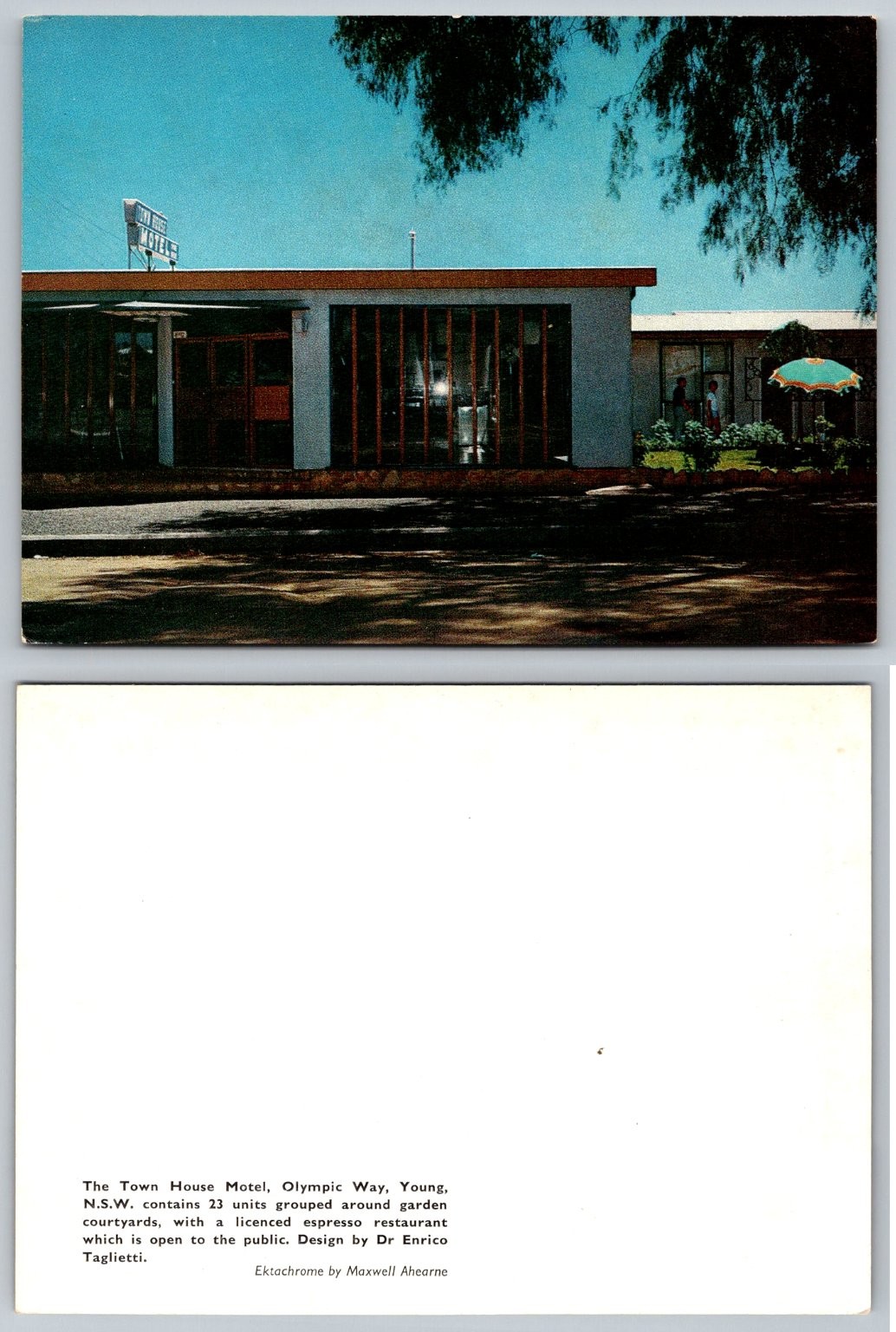 Town House Motel Young NSW Postcard Mid-Century Modern Ektachrome Australia
