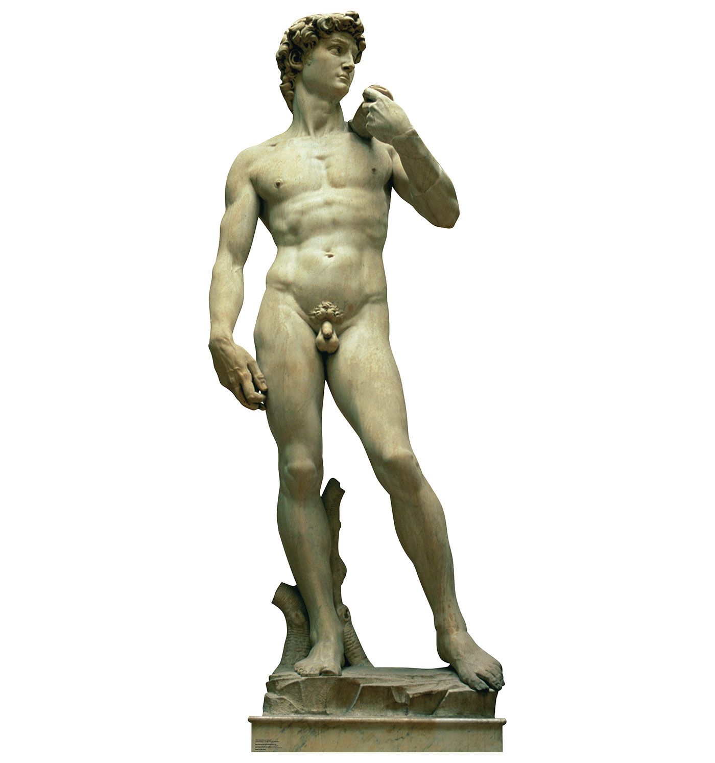 MICHELANGELO\'S STATUE OF DAVID ITALY \