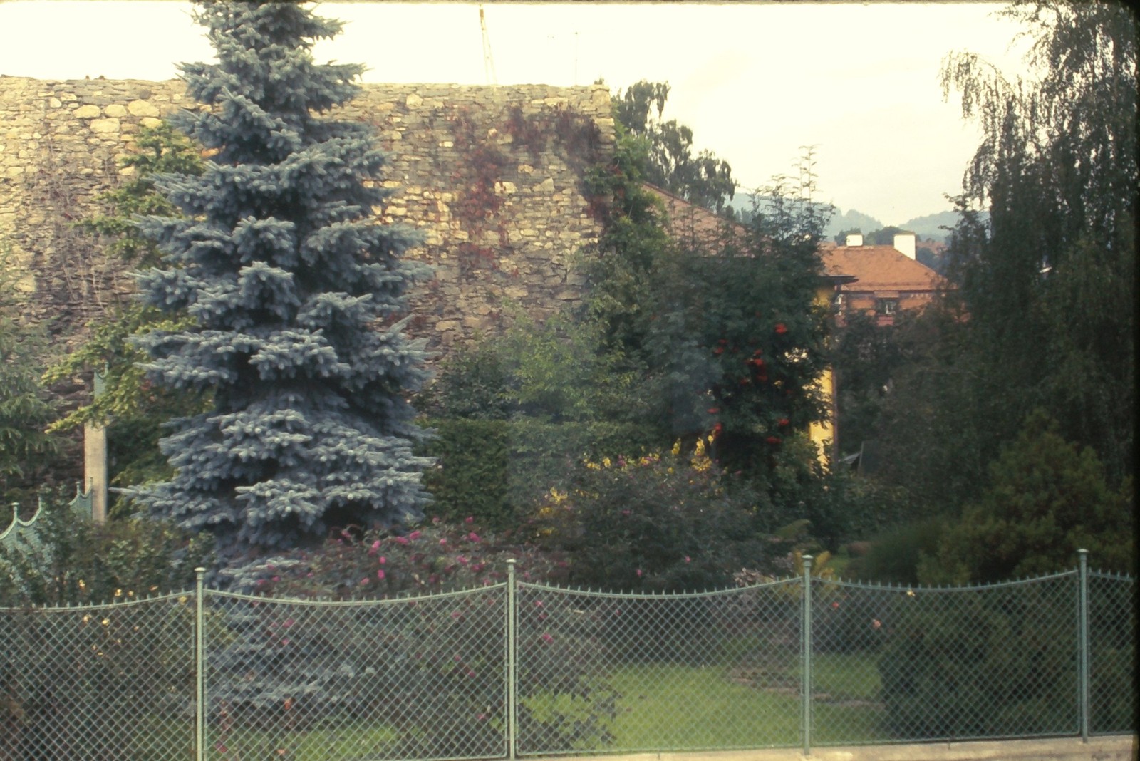 c1970's Ektachrome 35mm Slide Stone Wall Spruce Tree Chain Link Fence Building
