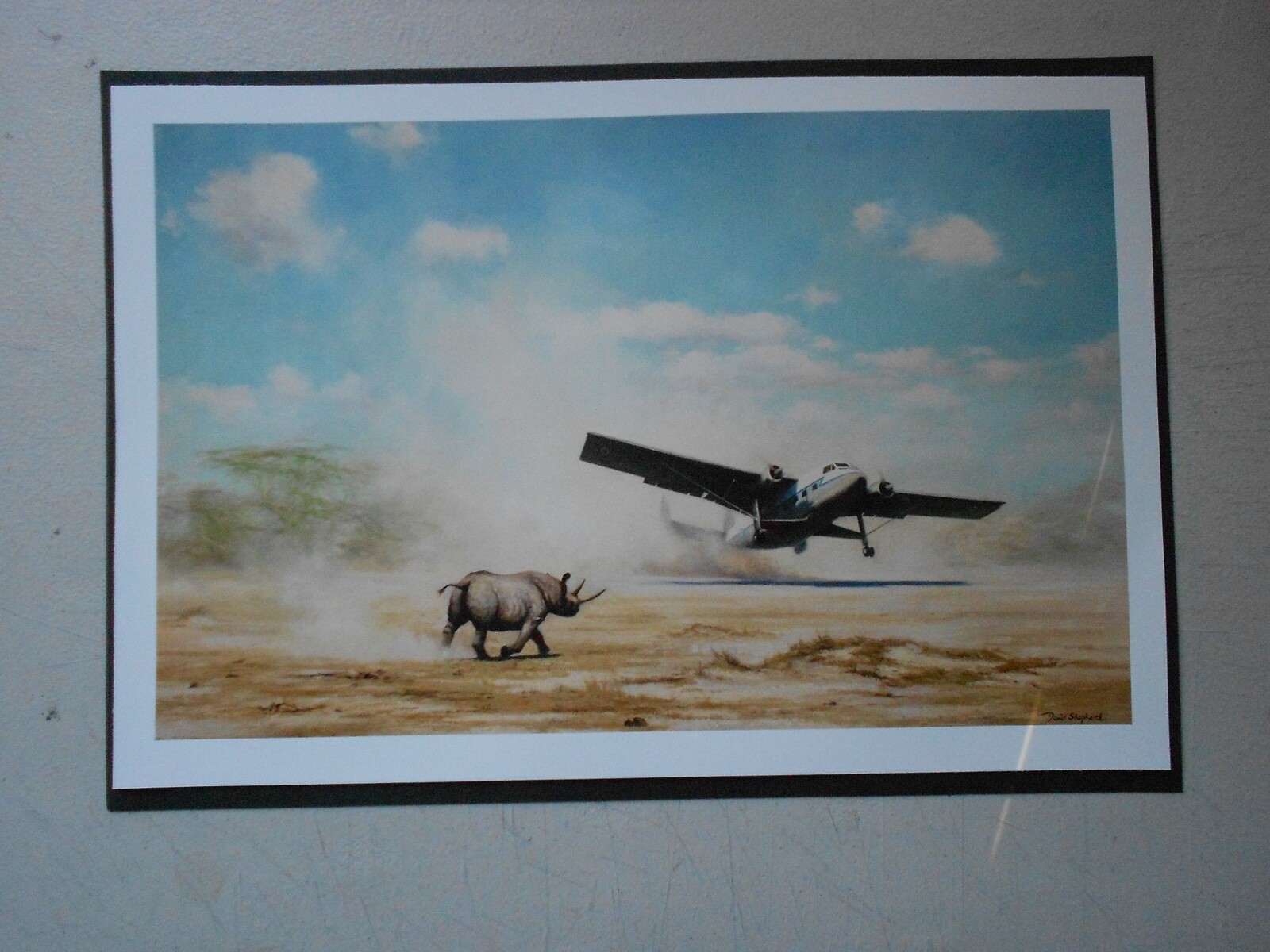 MILITARY RAF PRINT-  No 21 SQUADRON TWIN PIONEER SCRAMBLE TAKE OFF IN KENYA
