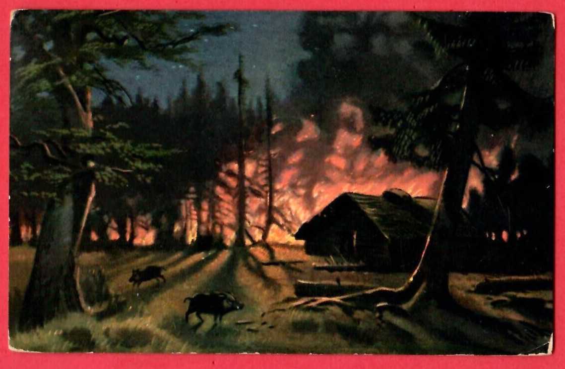 Forest Fire, Wild Boars VINTAGE PC. USED 2889