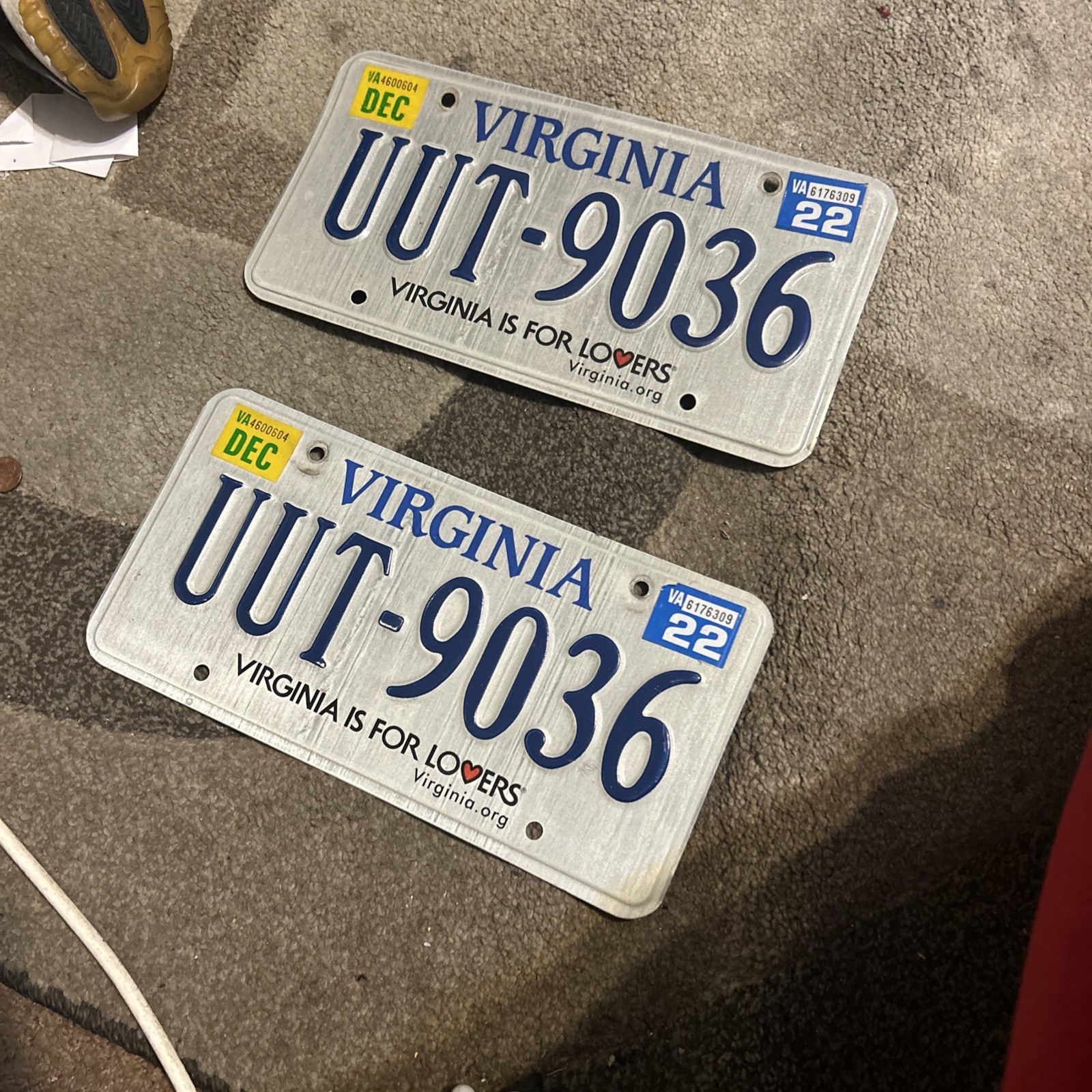 Virgina License Plate Random Virgina Is for Lovers