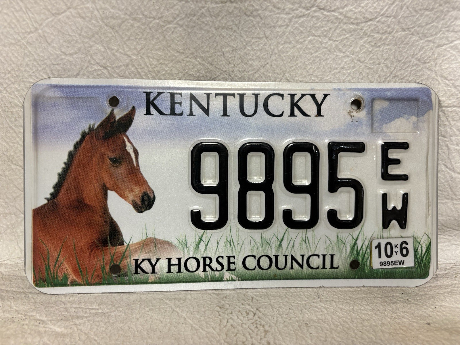 2016 Kentucky Horse Council License Plate