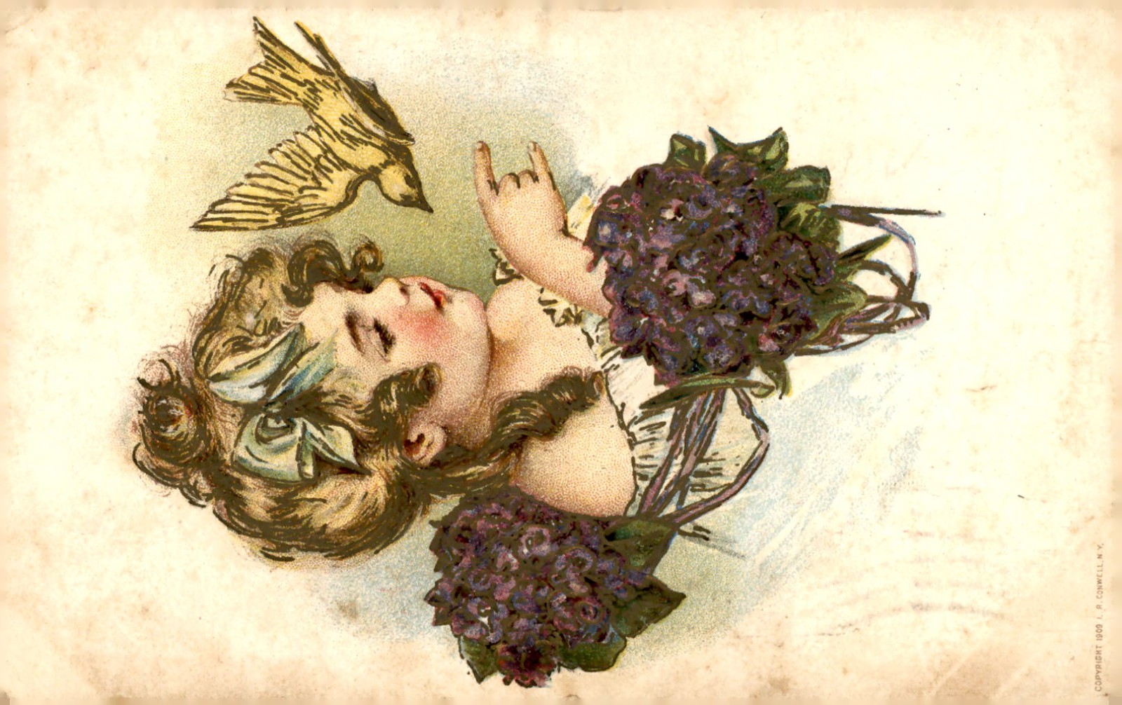Miss SC. R. Stauf, Shelly, PA, 1909 Postcard