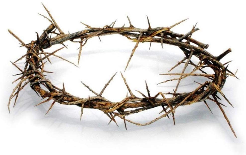 Authentic Biblical Lifesize 8