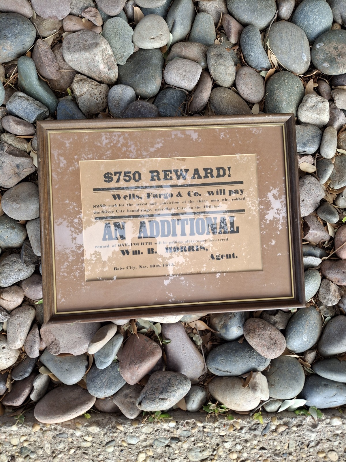 Wells Fargo offering a $750 REWARD Wm. B. Morris Nov 10,1875 BOISE CITY 