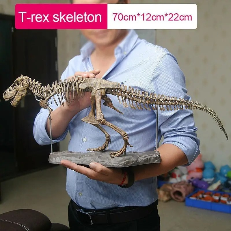Animal Model T Rex Tyrannosaurus Rex Skeleton Dinosaur Toy Collector Decor Gift