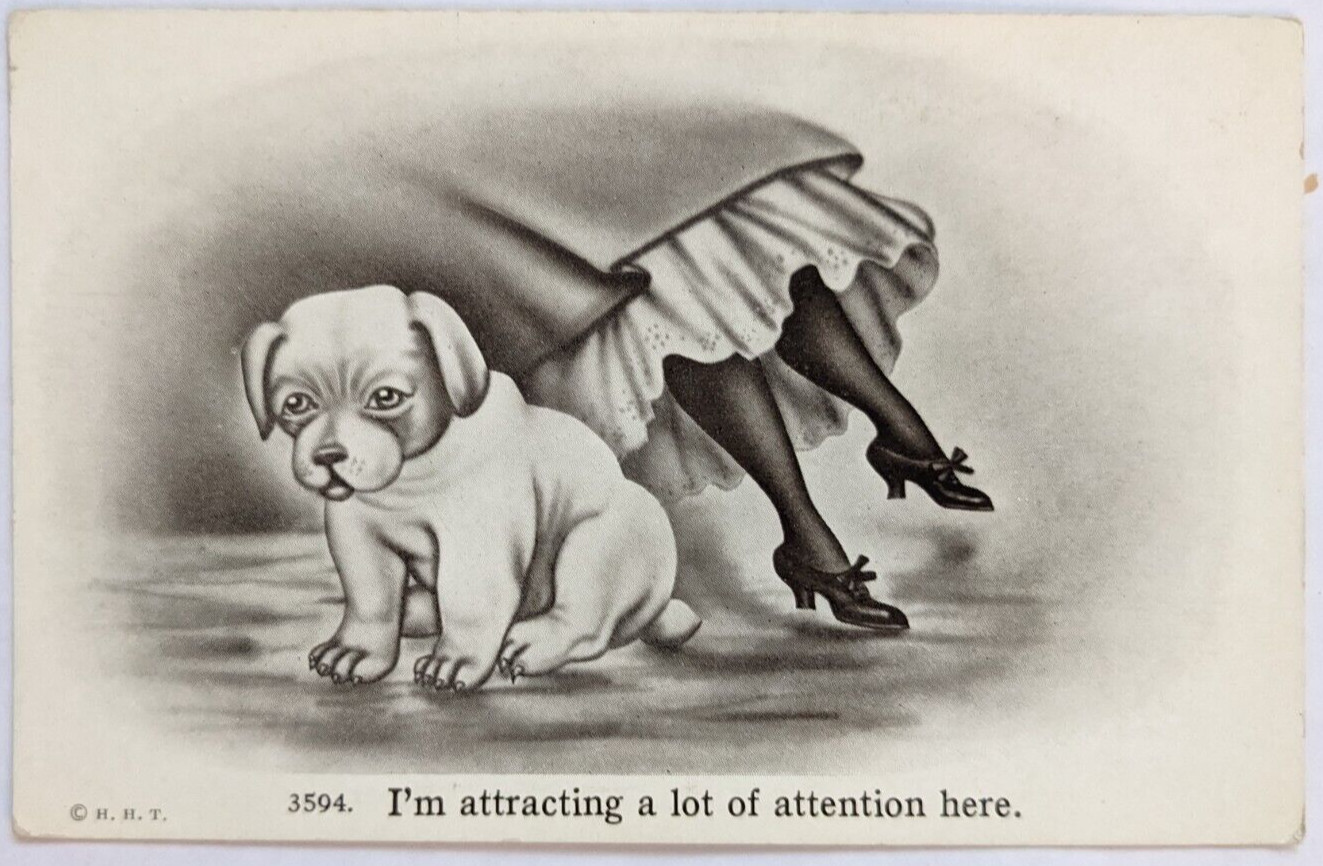I\'m Attracting A Lot of Attention Puppy Woman\'s Ankles Feet Legs HHT Postcard E1