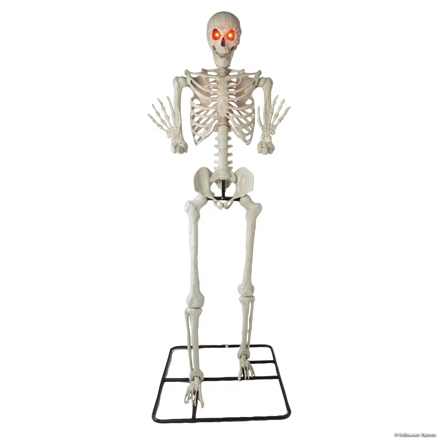 10 Ft. 5\