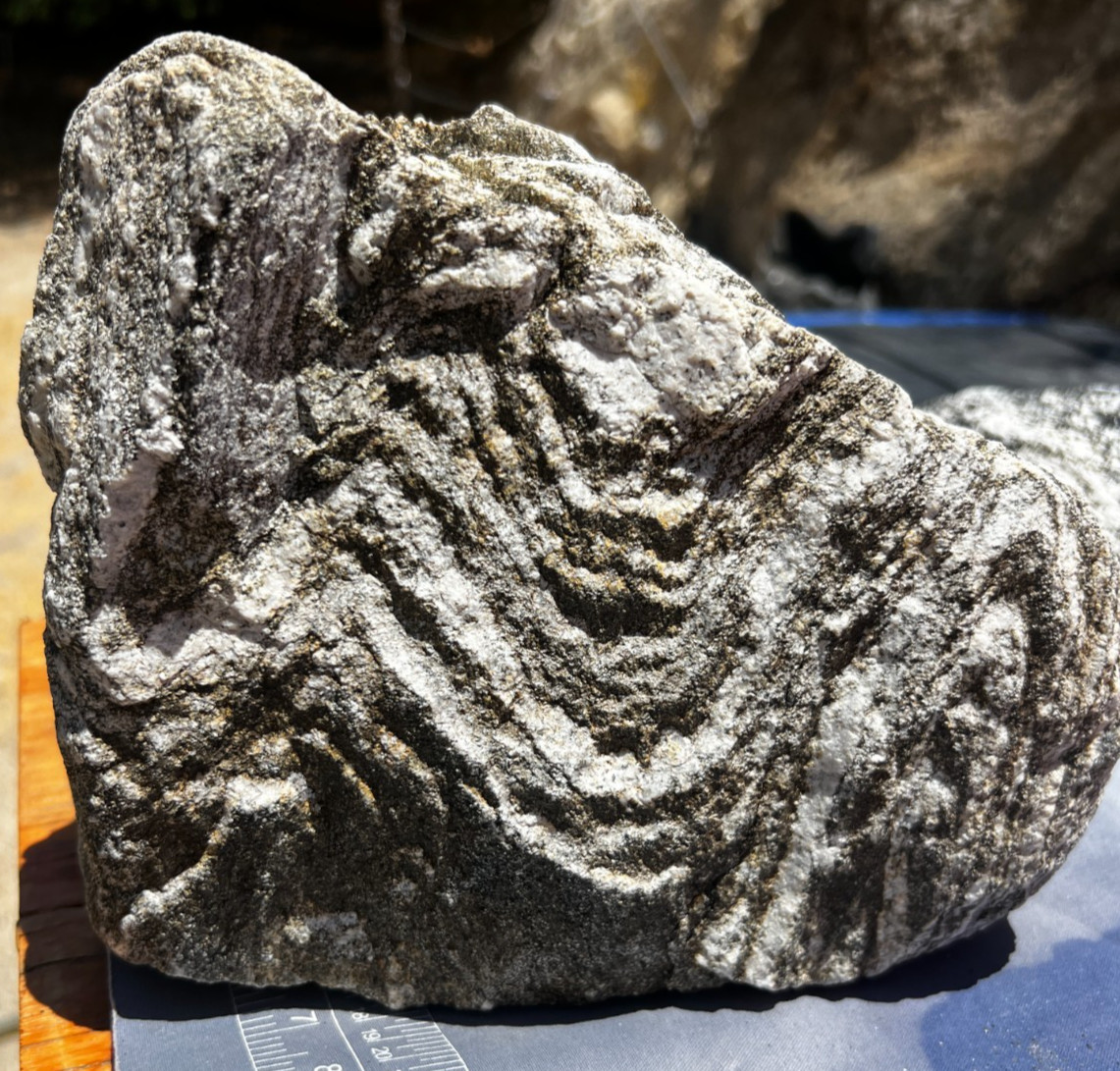Pinto Gneiss Boulder 19.1lb Metamorphic Landscape Rock Wave Pattern Joshua Tree