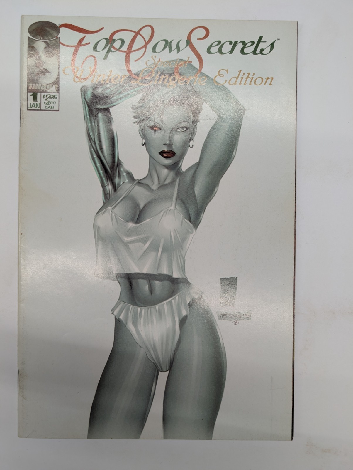 Top Cow Secrets Winter Lingerie Edition 1 Image Comics