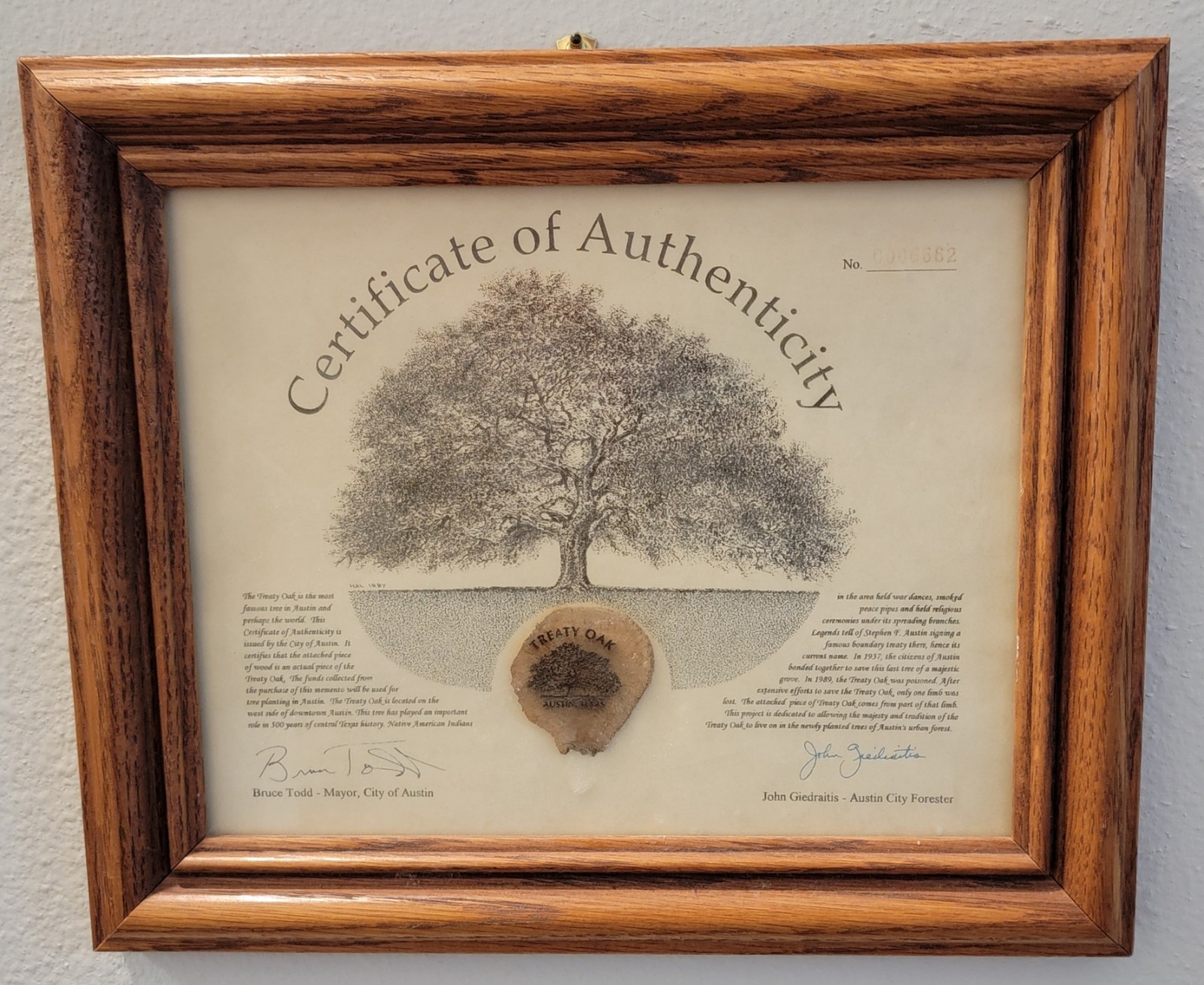 Historic TREATY OAK 1992 Framed Relic AUSTIN Texas COA No. 6662 ☆ Poisoned Tree
